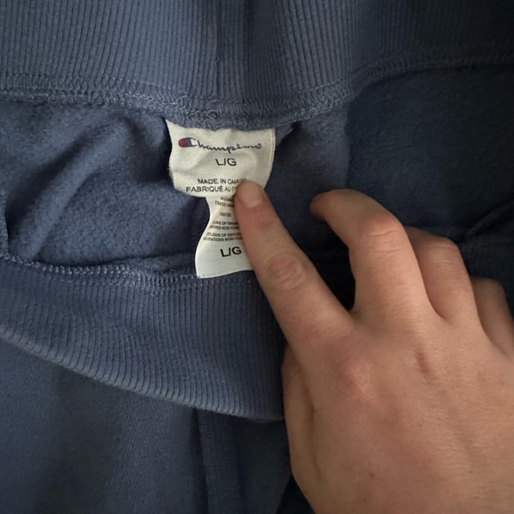 Light Purple/Blue Champion Sweatpants BNWOT Size L - Picture 2 of 3